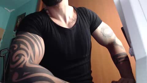 BigStallion online show from December 1, 11:58 pm