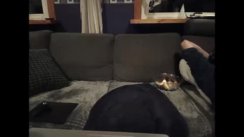 bigswe1 online show from March 5, 1:52 am