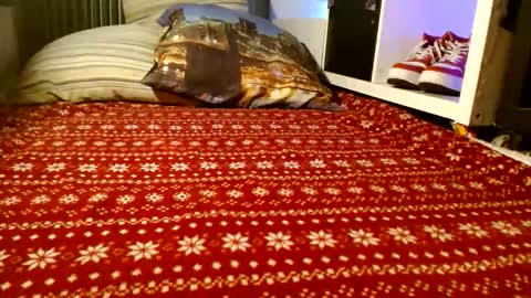 Bill online show from March 7, 6:46 am