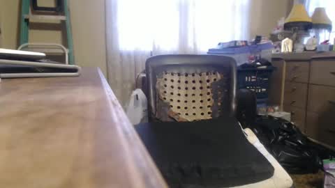 Bimbttm online show from December 20, 1:00 pm