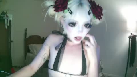 vampire fang  online show from July 17, 2:24 am