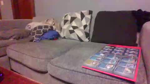 blaw_1321 online show from February 27, 9:35 am