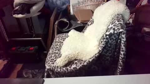 blindsurfer780299 online show from March 15, 5:12 am