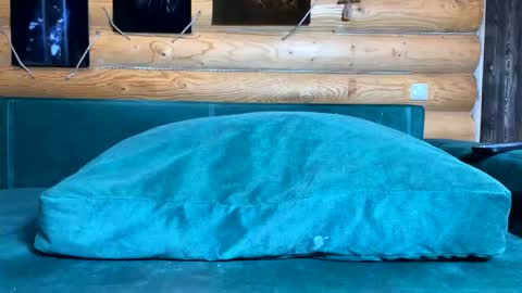 Nail and Olivia online show from November 7, 10:18 am