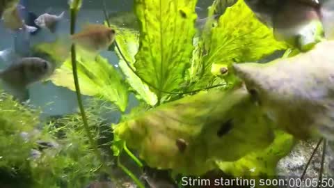 Booker Baxton online show from December 3, 4:02 am