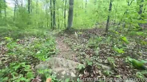 Booker Baxton online show from November 29, 4:09 am