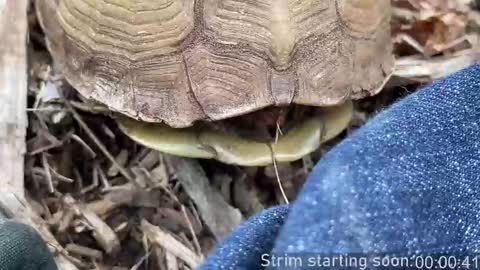 Booker Baxton online show from March 5, 4:10 am