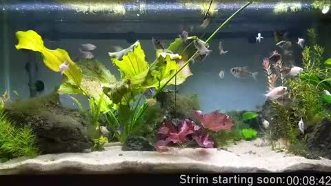 Booker Baxton online show from April 22, 3:02 am