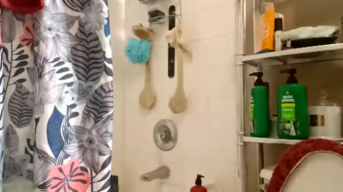 boredaf6678 online show from November 9, 4:38 am