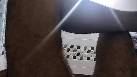 Johny 4 online show from March 28, 12:45 am