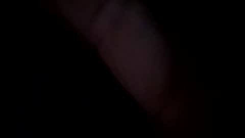 bottomfeederforyou2 online show from February 1, 11:31 am