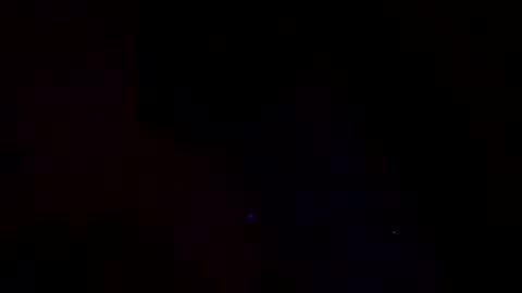 bottomfeederforyou2 online show from January 31, 9:48 am