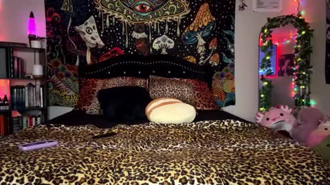 Puddin online show from February 23, 12:37 pm