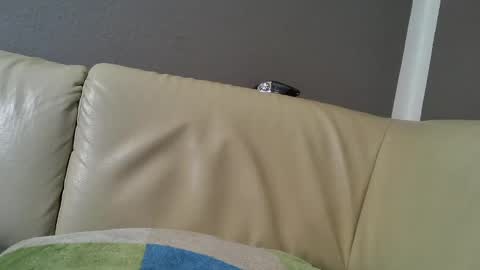 bramer8787 online show from February 9, 5:29 am