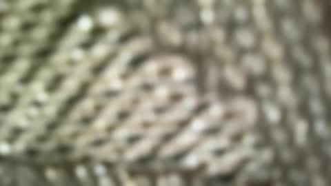 brandonconrad online show from February 7, 6:44 pm