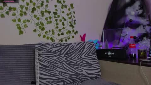 Johny Bravo online show from January 13, 8:05 pm