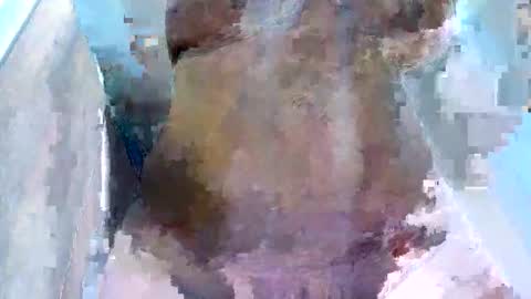 brigitte online show from May 23, 1:34 am