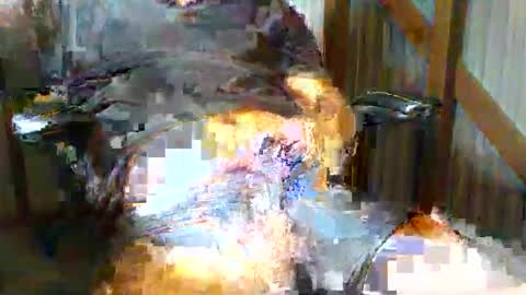 brissyman101 online show from April 3, 1:01 am