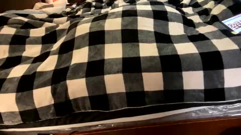 Snapshot of brownbootie1 chatting on January 7, 4:05 pm brownbootie1 online show from January 7, 4:05 pm