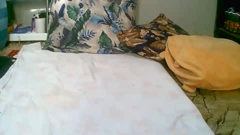 dee online show from February 8, 5:18 am