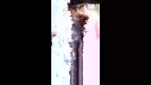 bryyantorres0302 online show from April 2, 10:27 pm