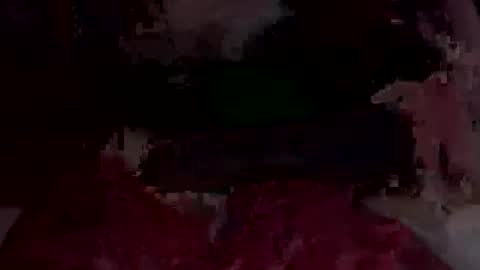 g0thcutie online show from October 15, 4:16 am