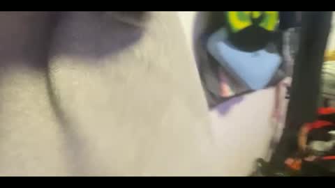 bukkakebae online show from September 15, 8:43 pm