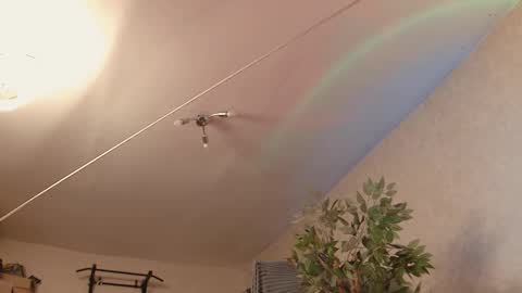 Dmitriy  online show from January 17, 2:10 am