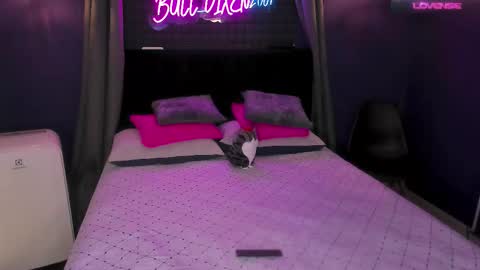 Bunny and The Rock online show from October 3, 9:50 am