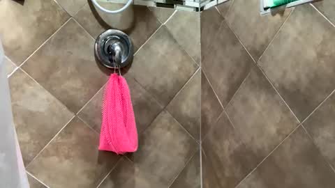 bunny15888 online show from February 18, 8:36 am