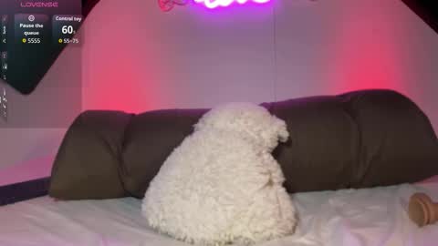  MARY BUNNY  online show from October 30, 8:59 am