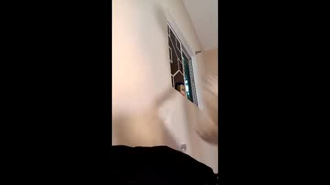 bustyirie online show from April 12, 11:09 pm