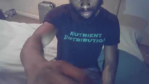 buynowlive online show from February 3, 2:53 am