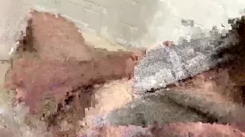 buzzed_gaming online show from February 17, 5:14 am