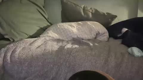 1DontR3member online show from January 14, 8:55 am