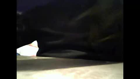 caldoski online show from November 28, 11:01 pm