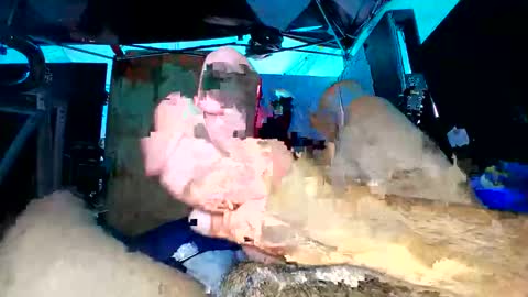 Calisguitar online show from November 6, 9:29 pm