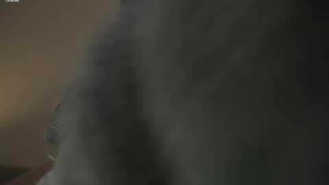   online show from April 2, 12:40 am