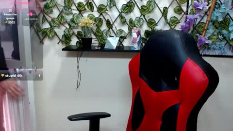 camelia online show from December 24, 5:23 pm