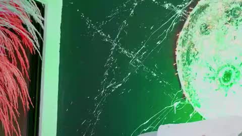 camila preston online show from November 23, 7:28 am