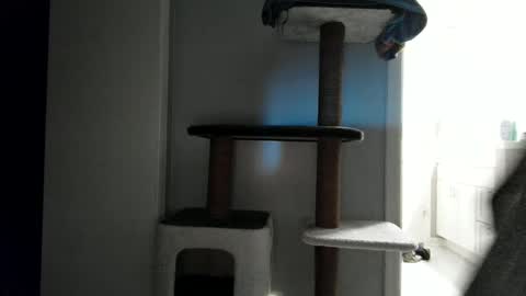 cammyman6900 online show from April 30, 3:55 am