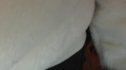 say meow and send tip  online show from February 25, 1:32 pm