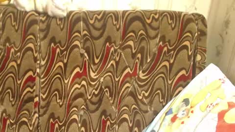 say meow and send tip  online show from March 2, 1:05 pm