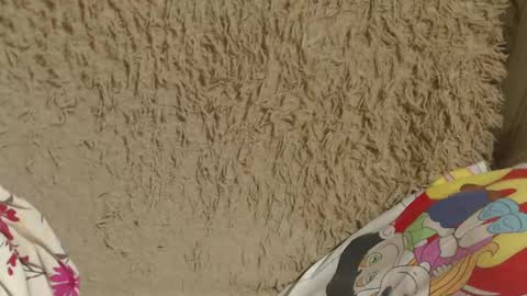 say meow and send tip  online show from February 14, 8:05 pm