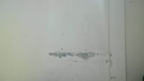 carimojama online show from March 14, 12:47 am