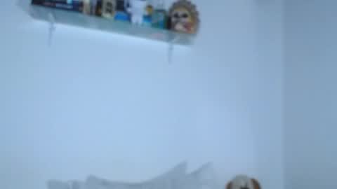 Snapshot of carolina_ml chatting on September 28, 1:42 pm CarolinaM online show from September 28, 1:42 pm