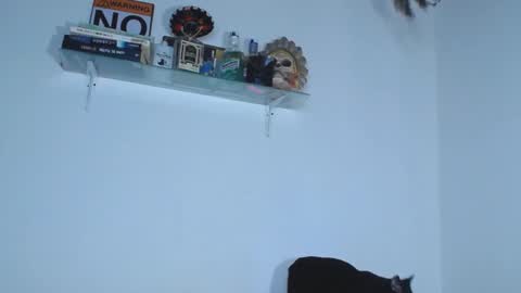 Snapshot of carolina_ml chatting on September 12, 9:28 pm CarolinaM online show from September 12, 9:28 pm