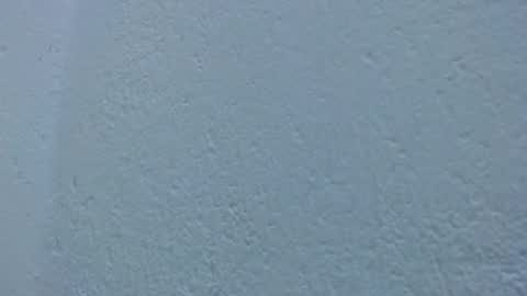 carolina_zabala_19 online show from February 8, 10:02 pm