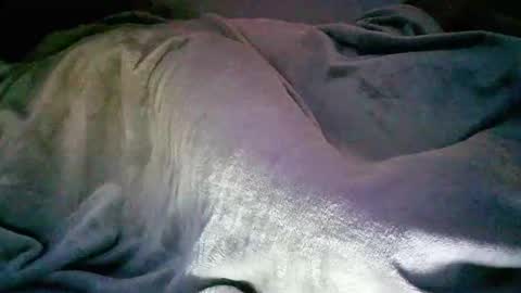 casalbidiversao online show from November 10, 8:50 am