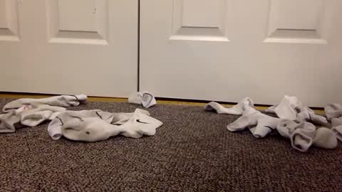 cash13bychanel online show from February 13, 3:07 am